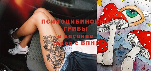 прущие крисы Козловка