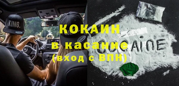 прущие крисы Козловка