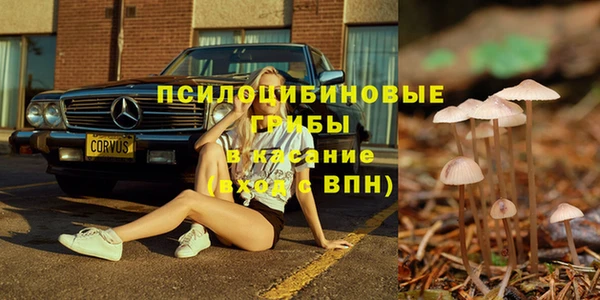 дживик Кодинск