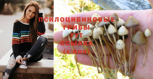 прущие крисы Козловка