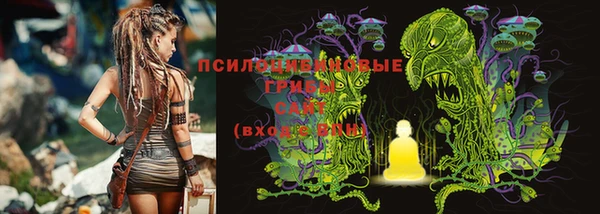 дживик Кодинск