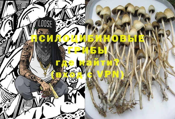 прущие крисы Козловка