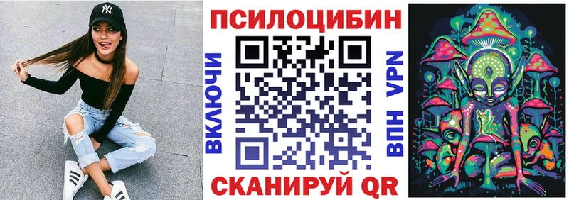 Купить закладки  Отрадный  Псилоцибиновые грибы мухоморы 
